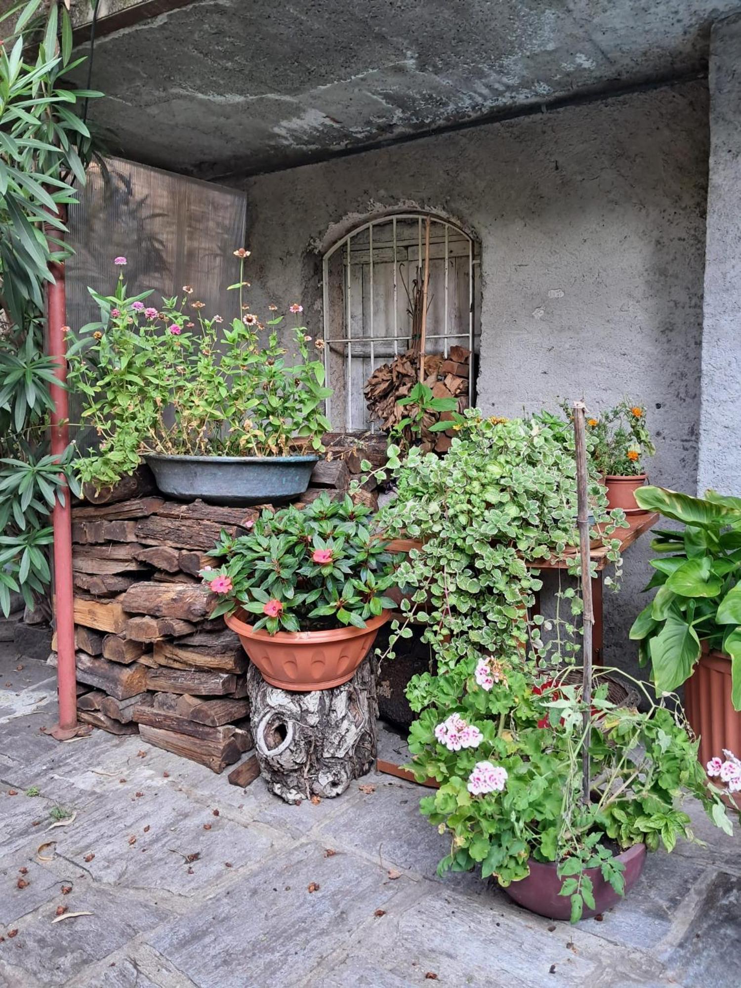Nonna Anita Bed and Breakfast Castelveccana Exteriör bild